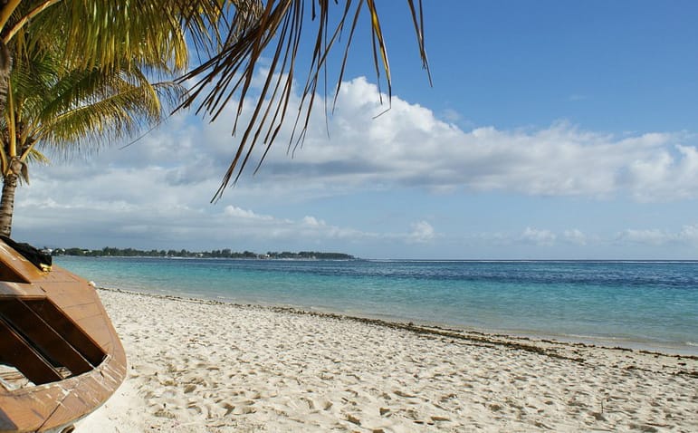 Nos vamos de vacaciones