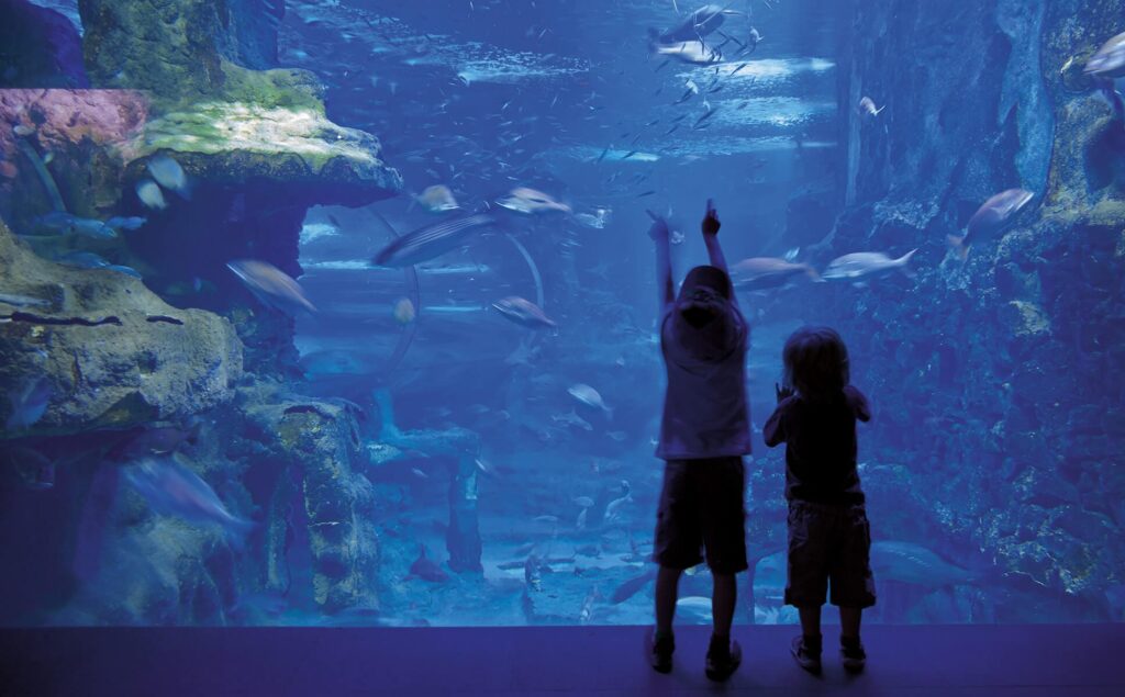 Arte en el fondo del mar