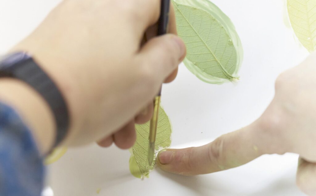 Atelier Collection: Aire