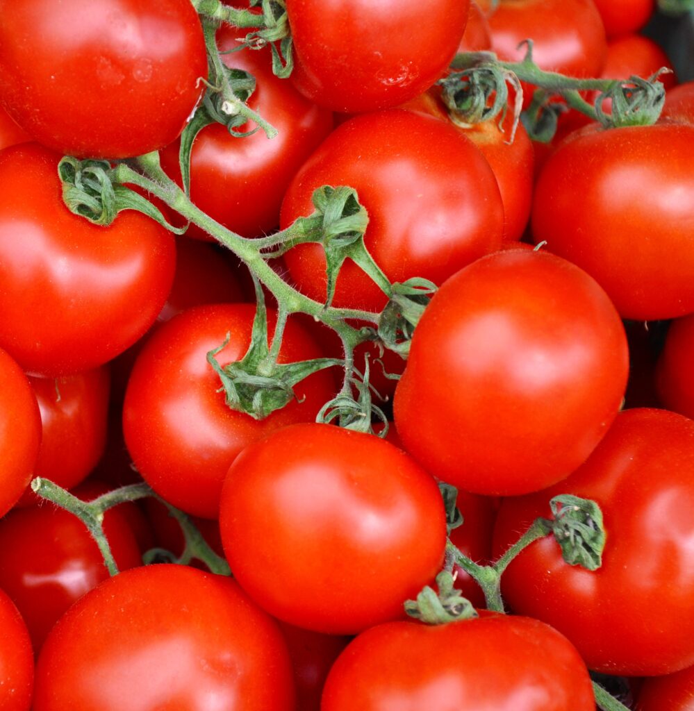 Conesa, el tomate como base de nuestra dieta