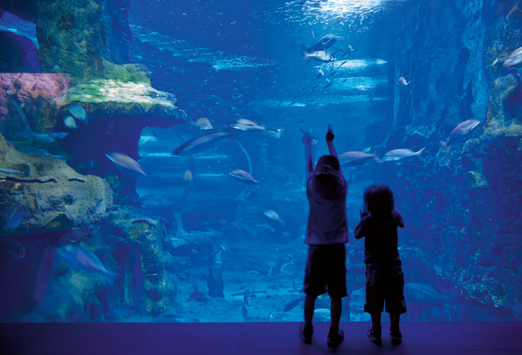Centro Oceanográfico, en comunión con el mar